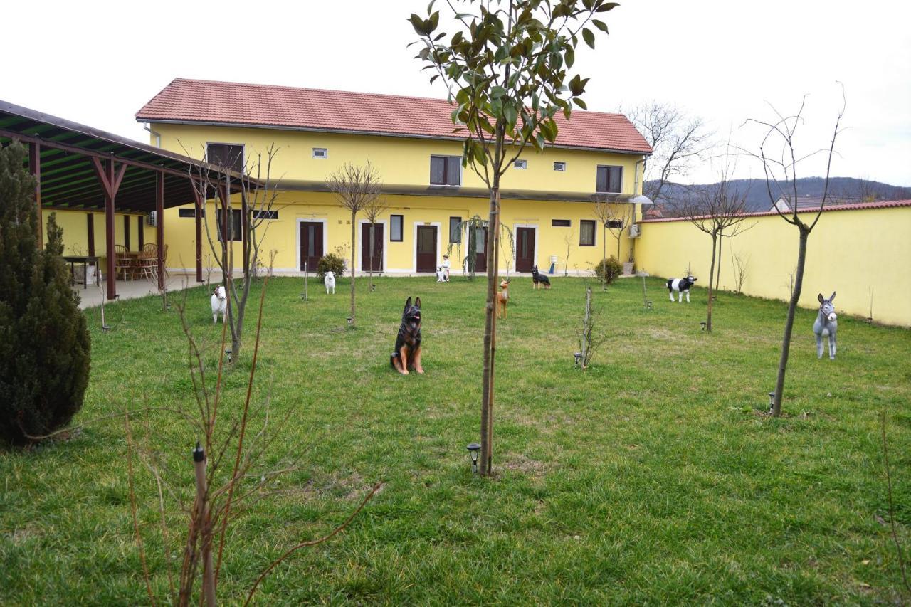 A Pousada Casa Simescu II Caransebeş Exterior foto